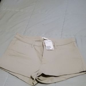 Women shorts